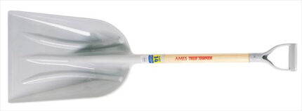 AMES_CO_04261277