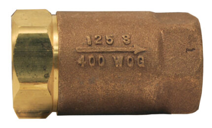 Dixon_ball_cone_check_valve__61-106_full_size