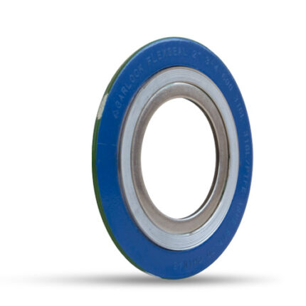 Garlock_GMG_FLEXSEAL_RWI_316L_PTFE