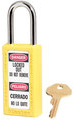 MASTER_LOCK_COMPANY_04268083