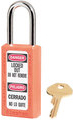 MASTER_LOCK_COMPANY_04301528