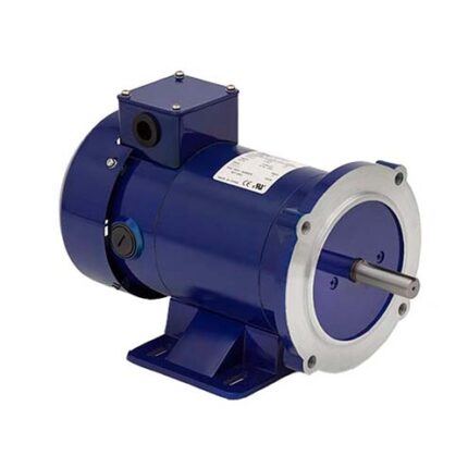 WEG_ELECTRIC_CORP_MT-031
